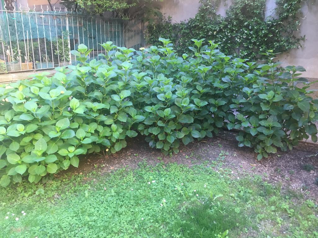 Loreto Elite Milano Εξωτερικό φωτογραφία